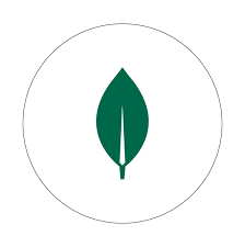 Logo Systemcap.Net
